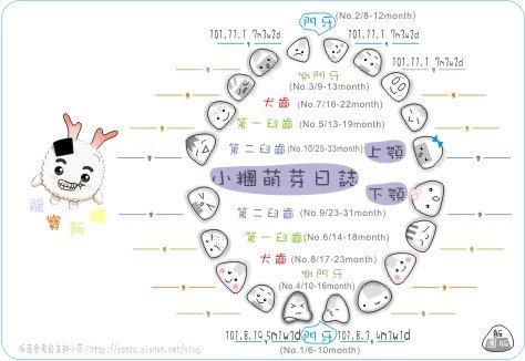 乳牙紀錄_飯團版-02