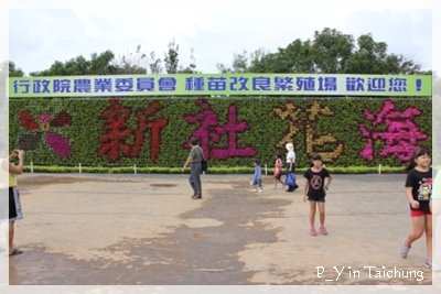 IMG_2511.JPG