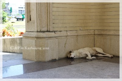 IMG_0245.JPG