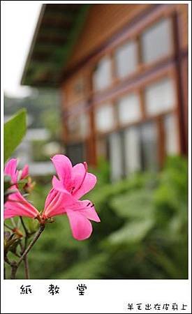 IMG_7765.JPG