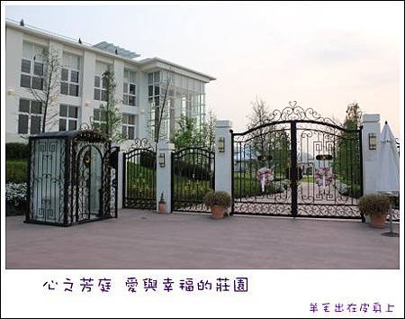 IMG_7375.JPG