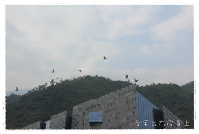 IMG_3874.JPG