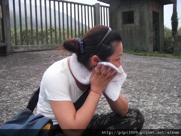 SDC17095.JPG