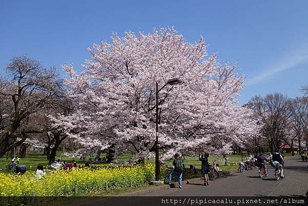 Dsc07134_結果.jpg