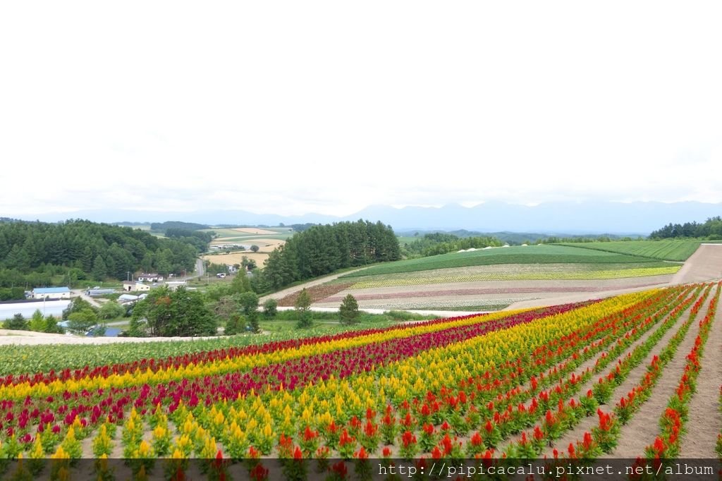 Dsc02873_結果.jpg