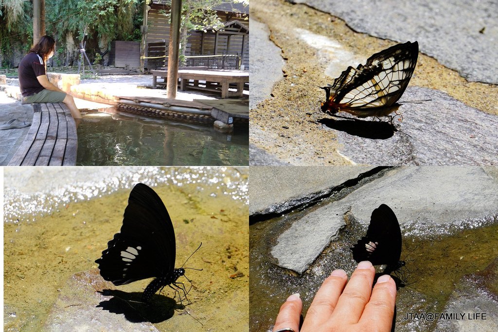 25.JPG