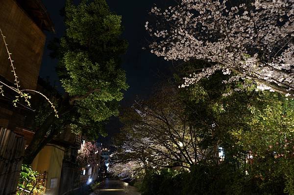 DSC03970.JPG