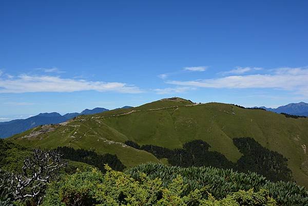 DSC_2756