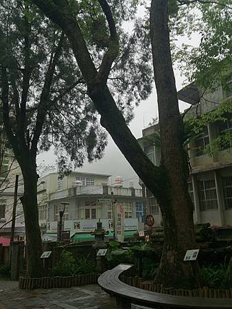 DSC_2976.jpg