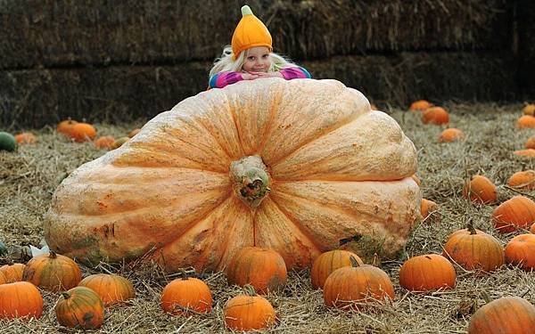 POTD-Pumpkin_2379871k