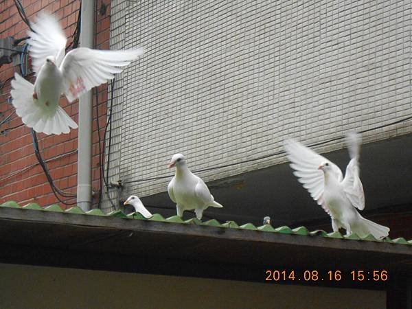月28 019