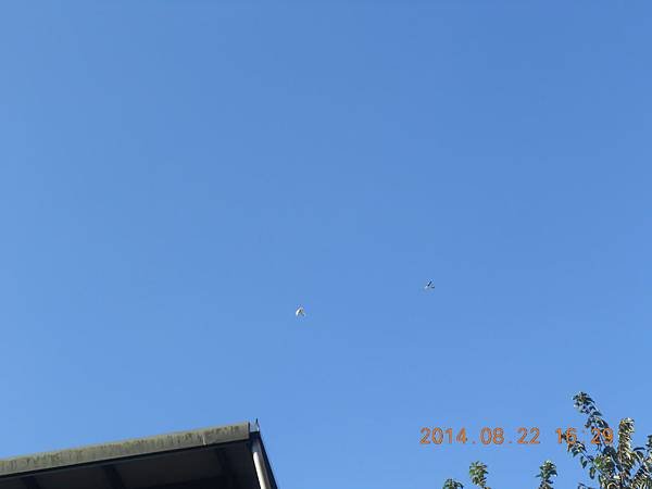 8月 053
