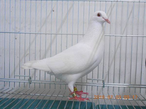 67 031.JPG