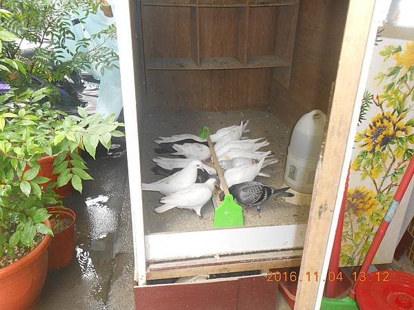 DSCN5695.JPG
