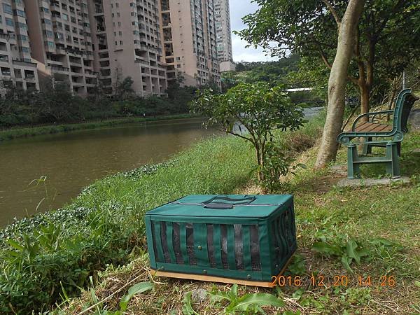 DSCN6709.JPG