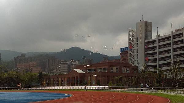 二檢415492281_1400229620012005_3178151093353491785_n.jpg