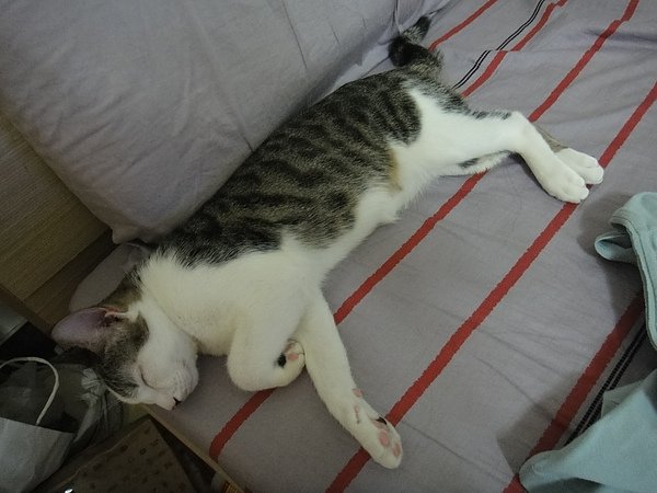 DSC01115.JPG