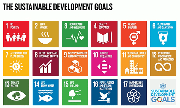 聯合國_SDGs_截圖.png