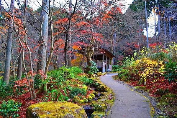 京都大原「三千院」2024最新賞楓情報-遠離塵囂幽靜脫俗千年