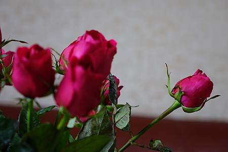 DSC00655.JPG