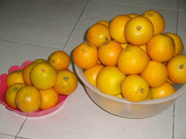 DSC03021.JPG