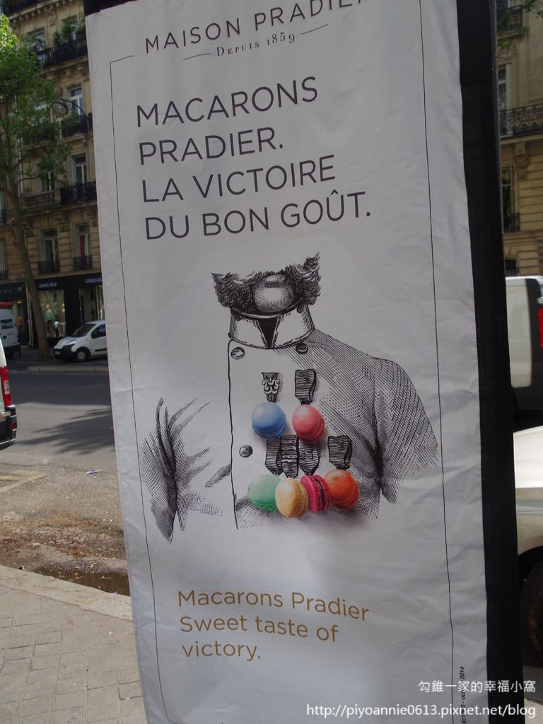 IMGP2662.JPG
