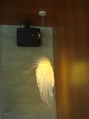 DSC02807.JPG
