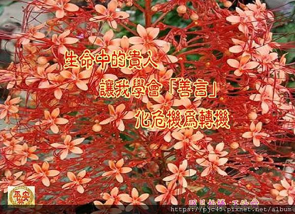 生命中的貴人讓我學會「善言」化危機為轉機.JPG