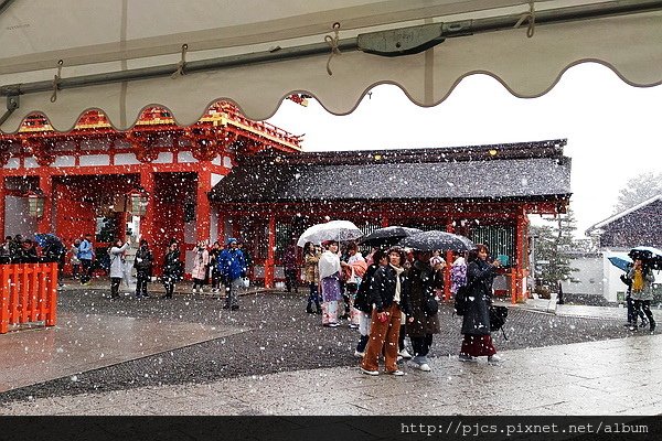 伏見稻荷-大雪紛飛.jpg