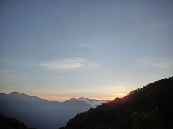 雲霧農場