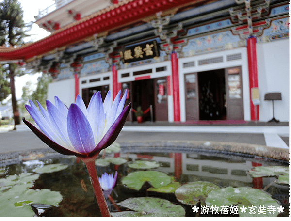 9.玄奘寺.png