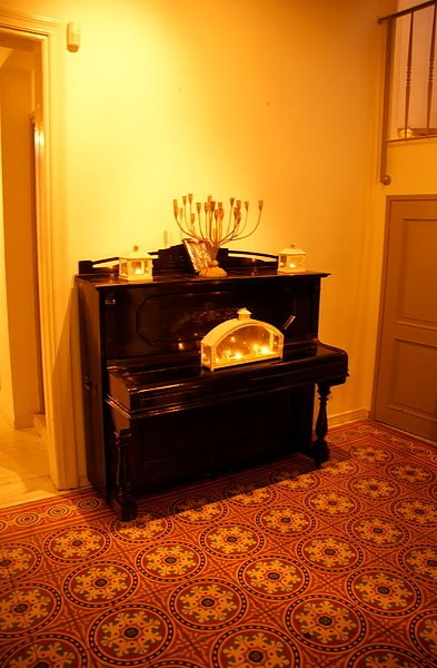 DSC08414.jpg