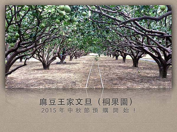 Pomelo.001.jpg