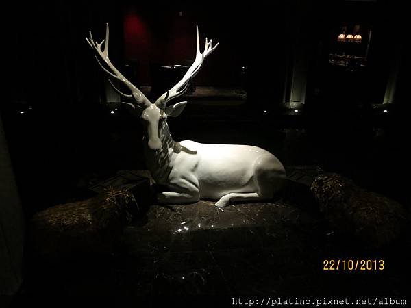 IMG_0371