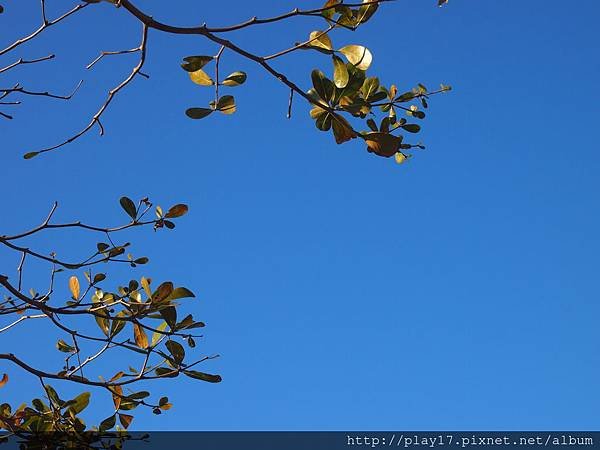 P2021075 - 複製.JPG