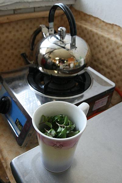 20110408 011.jpg