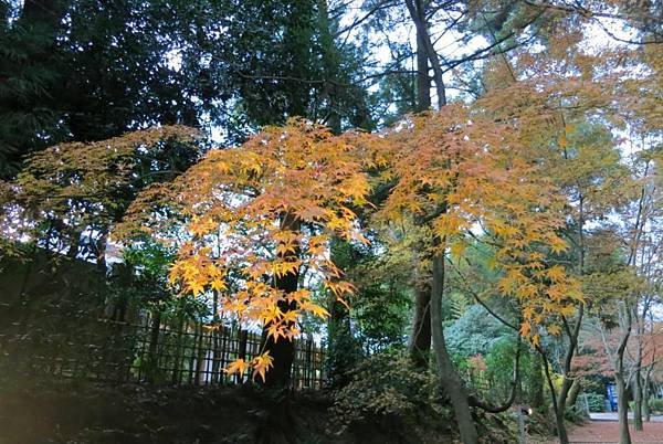 0106《東福寺》 (2)