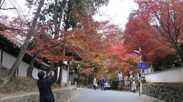 0106《東福寺》 (15)