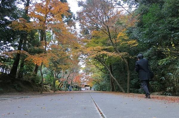 0106《東福寺》 (16)