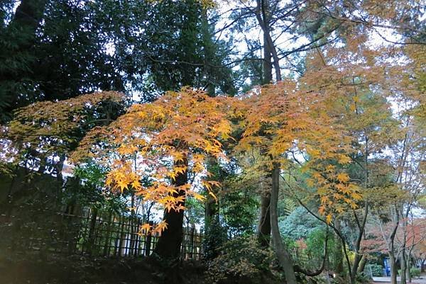 0106《東福寺》 (17)