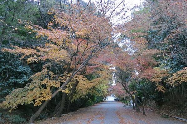 0106《東福寺》 (23)