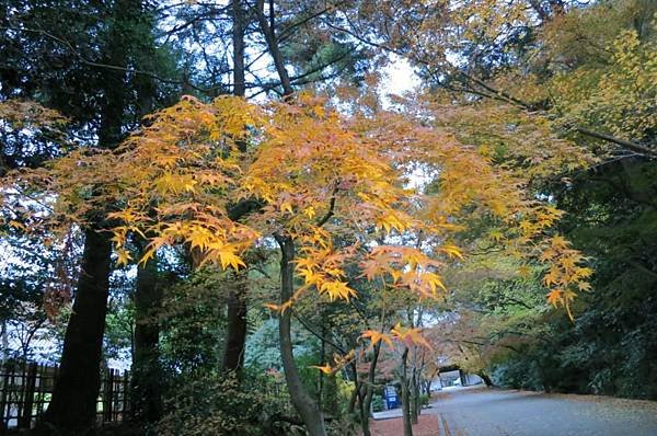 0106《東福寺》 (24)