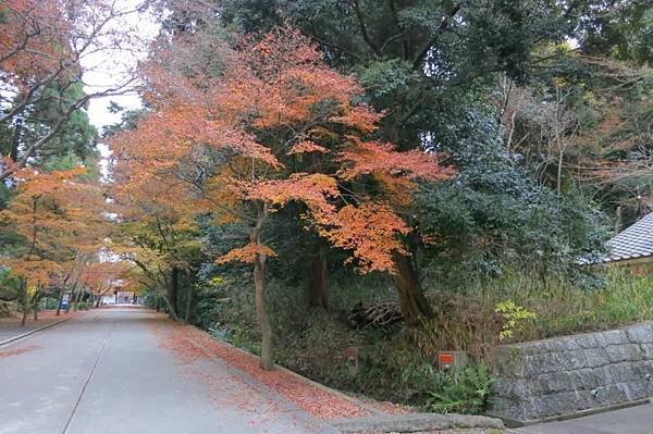 0106《東福寺》 (25)