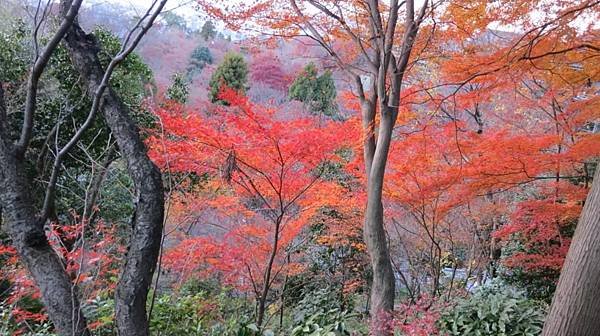 0113《清水寺》 (19)