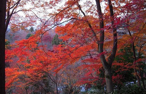 0113《清水寺》 (24)