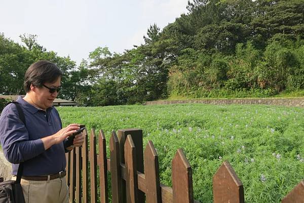 0504《貓空》樟樹步道 (10).JPG