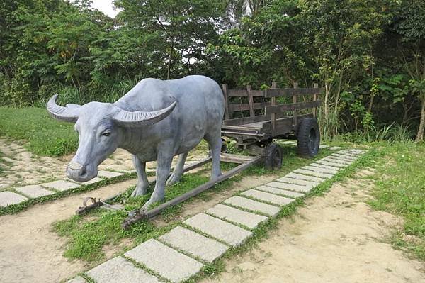 0504《貓空》樟樹步道 (17).JPG