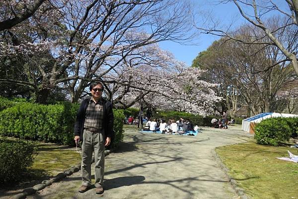 0514《福岡城の桜》大濠公園 (17).JPG