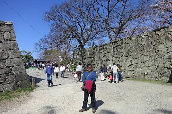 0514《福岡城の桜》大濠公園 (26).JPG