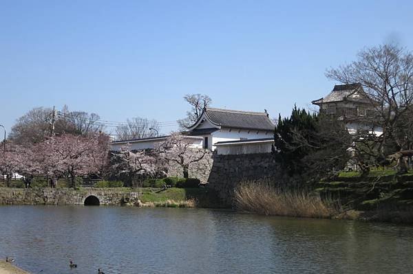 0514《福岡城の桜》大濠公園 (27).JPG